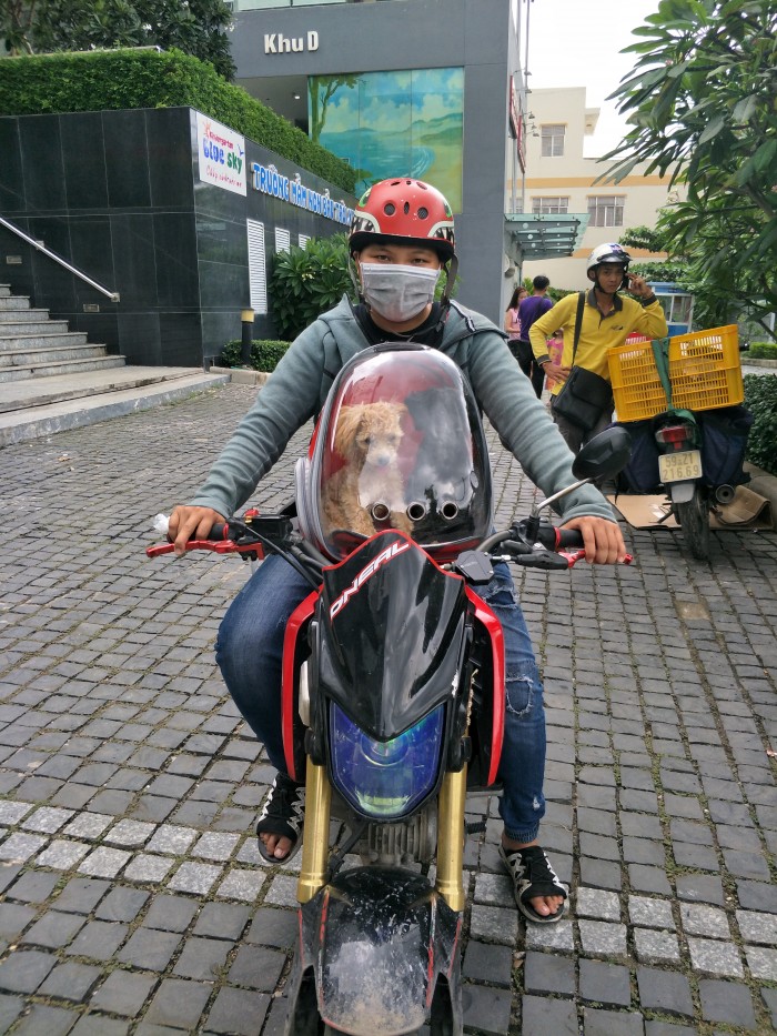 MSX 125 tâm huyết bán nhanh