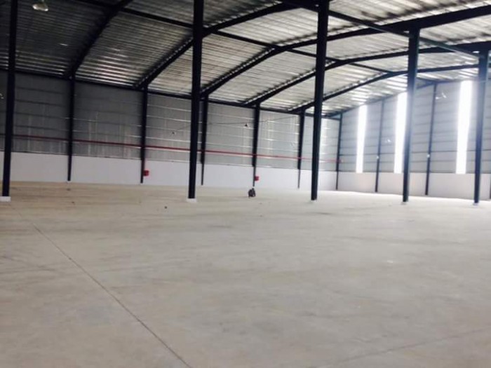 Trả Lương Công Nhân Bán Gấp Kho 1280m2 Đường Trần Đại Nghĩa, Tân Nhựt.