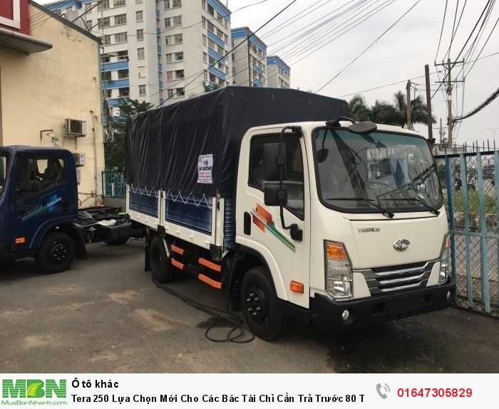 Tera 250 Lựa Chọn Mới Cho Các Bác Tài Chỉ Cần Trả Trước 80 Triệu
