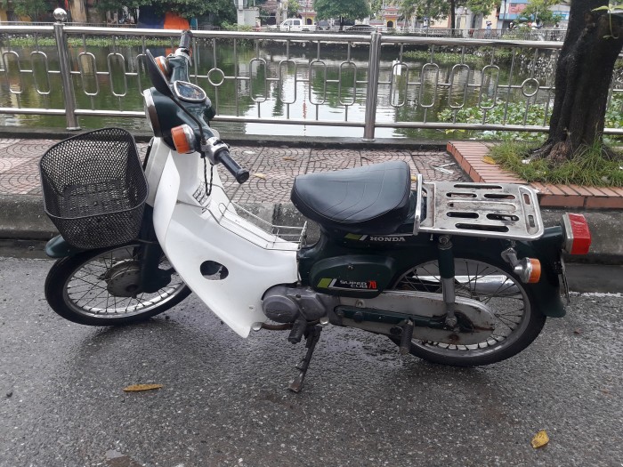 Cub81
