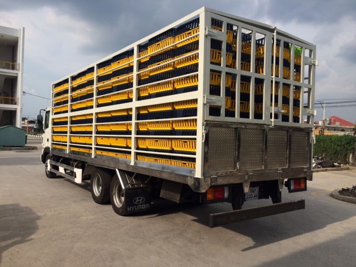 Hyundai Hd210 Thùng Gia Cầm