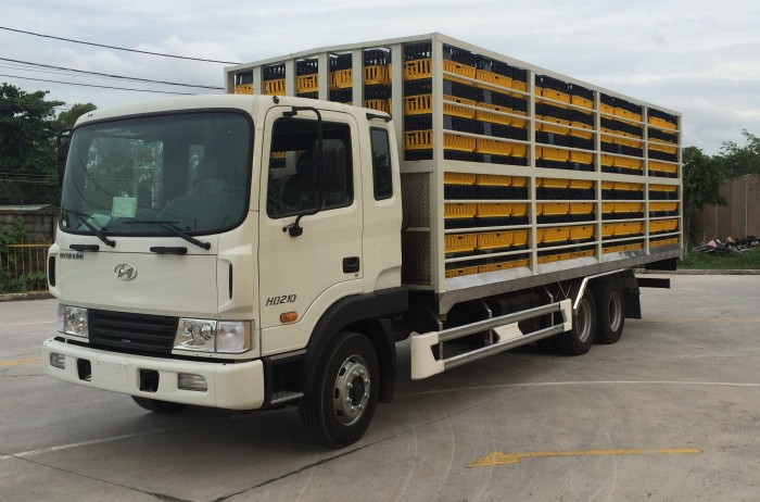 Hyundai Hd210 Thùng Gia Cầm
