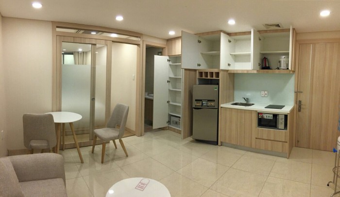 Cho thuê căn hộ tại Nguyễn Bỉnh Khiêm Quận 1, 40m2, Full nội thất