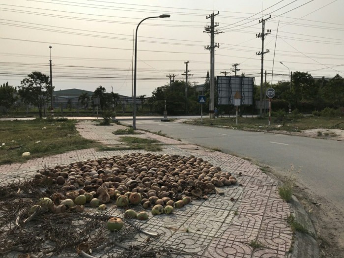 Bán đất Lô góc 2 mặt tiền, đường Nguyễn Trung Trực, giáp Bến Lức Long An, 143.5m2, SHR.