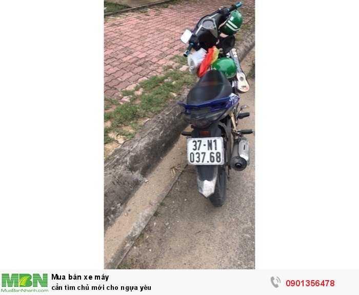 cần tìm chủ mới cho ngựa yêu