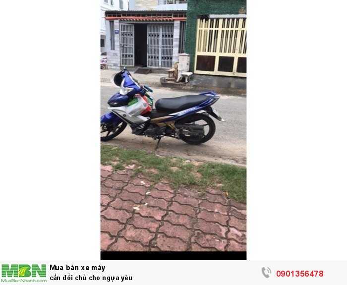 cần đổi chủ cho ngựa yêu