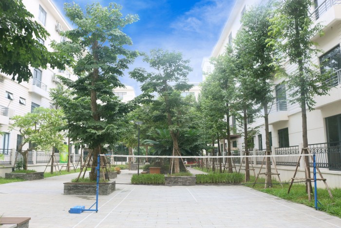 Bán suất rẻ hơn thị trường nhà vườn Pandora Thanh Xuân, tặng ngay 4 căn hộ đẹp + CK 3%
