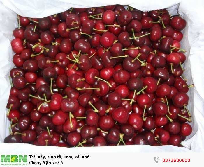 Nữ hoàng trái cây - Cherry Mỹ size 8.5