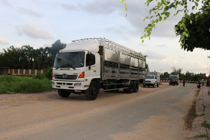 Xe tải HINO FL thùng chở heo