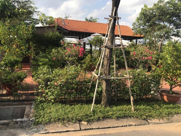 Bán Lô Đất Green Town Trong Khu Biệt Thự 816, đường Nguyễn Duy Trinh, P. Phú Hữu, Quận 9