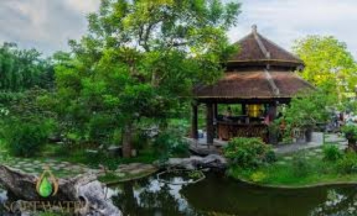 Nhượng quyền sử dụng 2400 m2 đất nhà hàng sinh thái đường Ecopark, Hà Nội