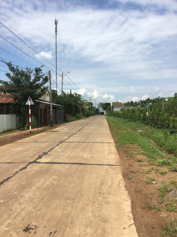Bán đất Xuân Đông Cẩm Mỹ Đồng Nai gần trường tiểu học Nguyễn THượng Hiền