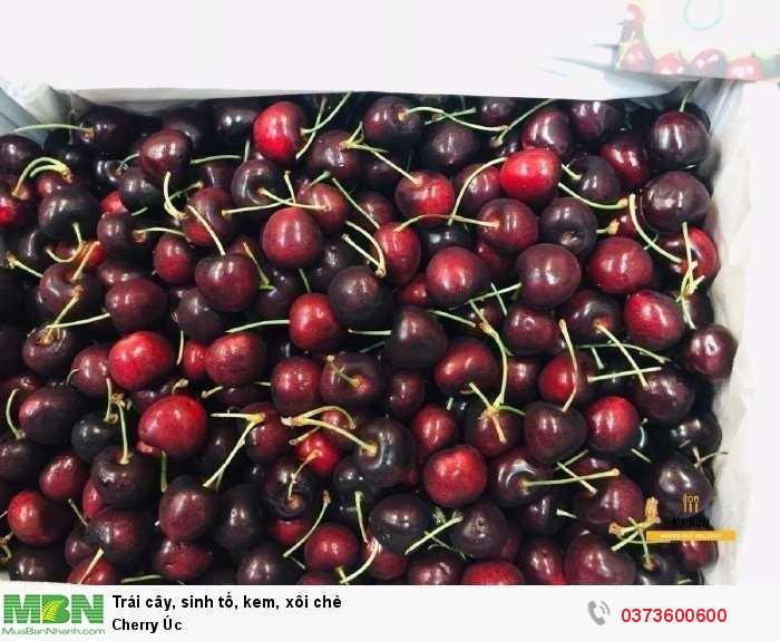 Cherry Úc nhập khẩu0