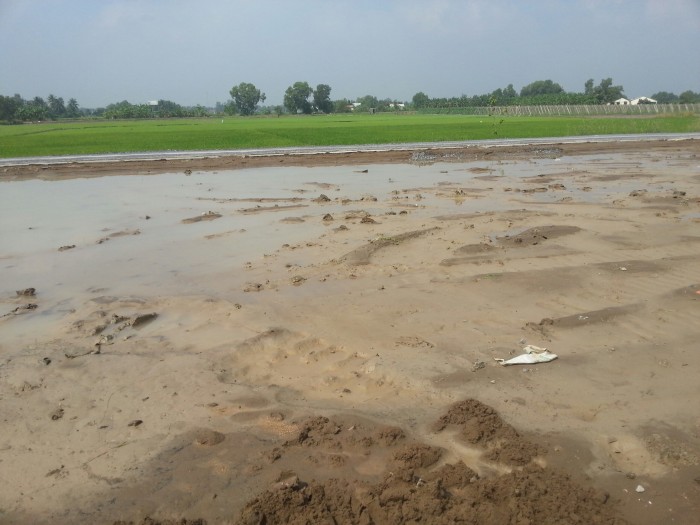 Cần bán đất MT đường Nguyễn Văn Linh. Diện tích: 85m2 giá 790tr SHR,