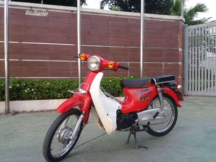 Xe Cup 50cc
