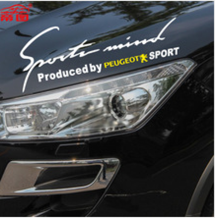 Tem dán xe Decal sườn xe HOT