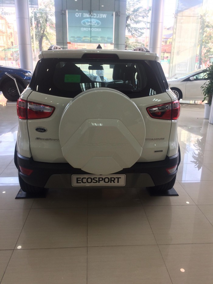 Ecosprot Trend