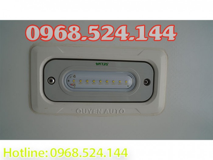 Đại lý xe tải isuzu thùng đông lạnh, giá cạnh tranh, thùng lạnh cực chất (hình thật 100%)