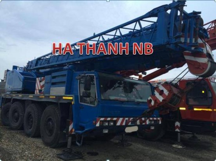 Cho thuê cẩu phục vụ làm ca NINH Bình ( giá hợp lý )