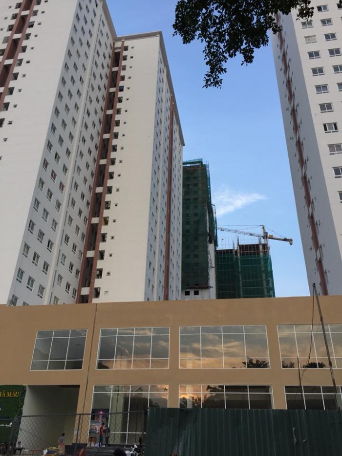 Cho thuê căn hộ Topaz City 3PN ngay MT Cao Lỗ, p4, q8, DT 92m2, giá 10tr/th.