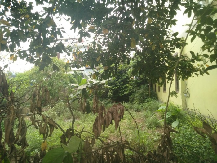 Bán đất kiệt Hàm Nghi 2 lô liền kề -TP Đông Hà.