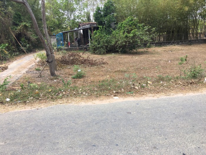 Đất mặt đường Nguyễn Thị Rành đoạn gần trường lái