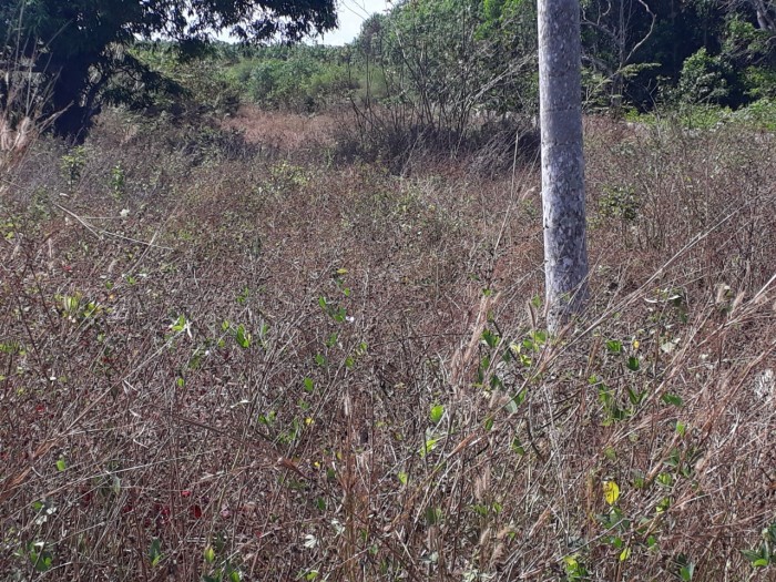 Bán đất Long Phước, Long Thành, (kế bên VINECO 450 ha ), 613 m2