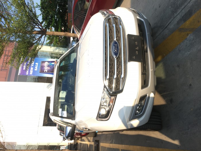 Xe Ford Everest
