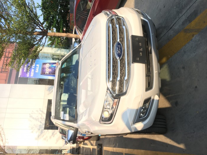 Xe Ford Everest