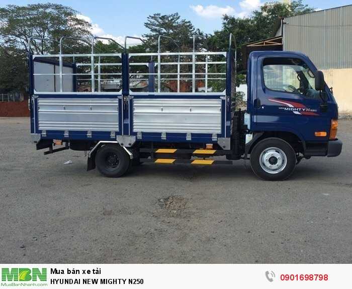 Hyundai New Mighty N250