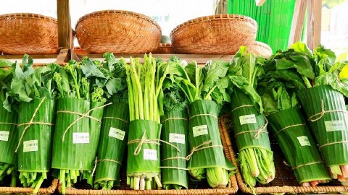 Bán lá chuối tươi, bán lá chuối sạch, cung cấp lá chuối, lá chuối sạch
0901 070 080