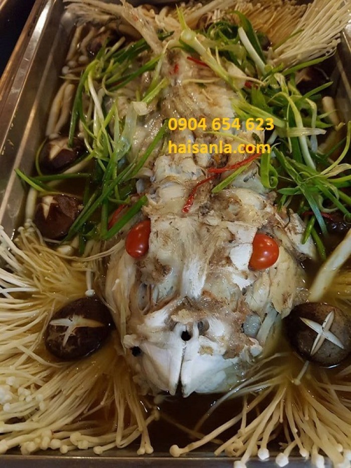 Cá thỏ biển làm sạch 1-8kg/con11