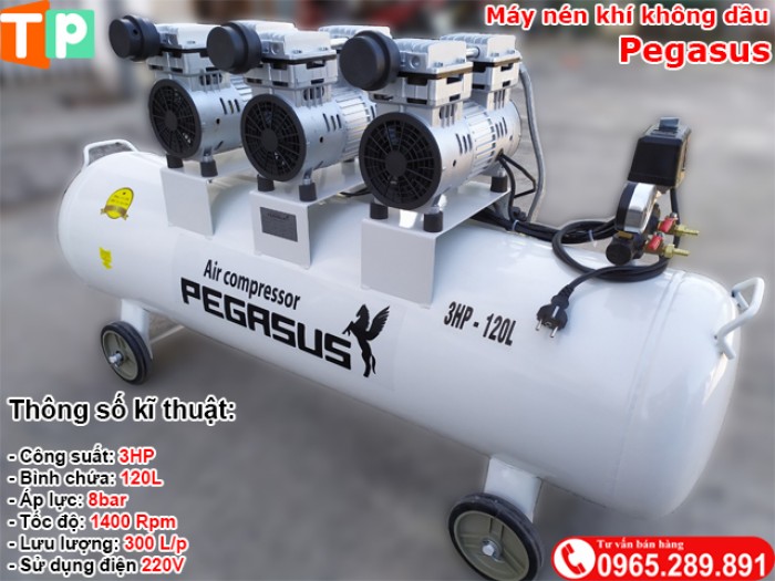 Máy nén khí không dầu Pegasus 3HP-120L3