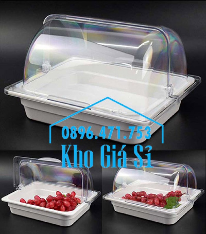Khay inox/ Khay nhựa melamine trưng bày Sashimi, Sushi, bánh ngọt, trái cây, thức ăn tiệc buffet có nắp đậy65