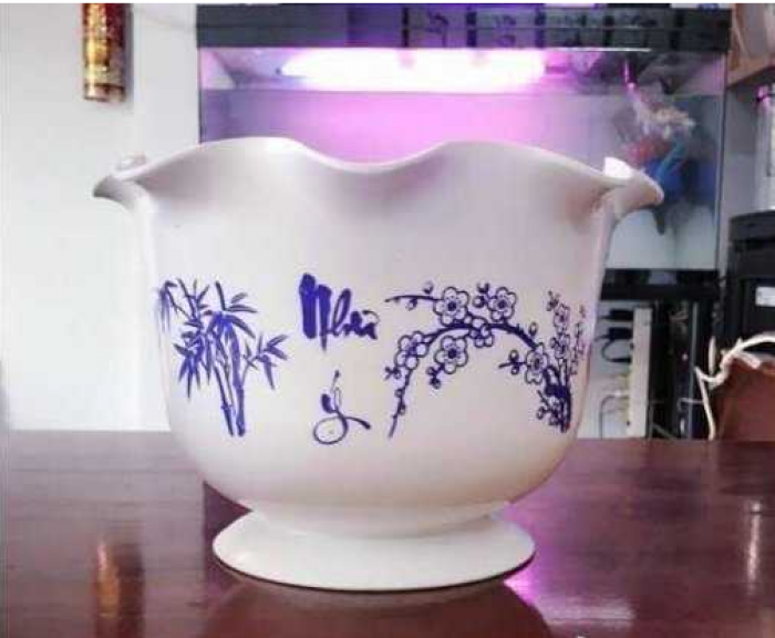 Chậu nhựa trồng cây - Chậu hoa nhựa Thakico