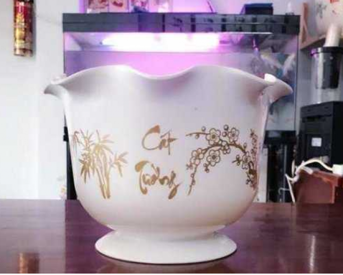Chậu nhựa trồng cây - Chậu hoa nhựa Thakico