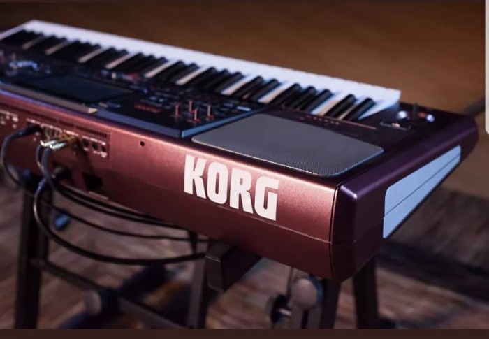 Đàn organ Korg PA 1000 có rất nhiều âm thanh mới (có Defined Nuance Control cho tính hiện thực nâng cao) mang lại cho buổi trình diễn tươi tắn và thú vị, cũng như một phạm vi rộng lớn của phong cách bao gồm thể loại nhạc từ khắp nơi trên thế giới. Kết hợp với chức năng hiệu suất mạnh mẽ, giao diện người dùng trực quan và âm thanh phong phú, điêu khắc và bạn có một Arranger cho người chơi sành điệu và đòi hỏi cao nhất.0