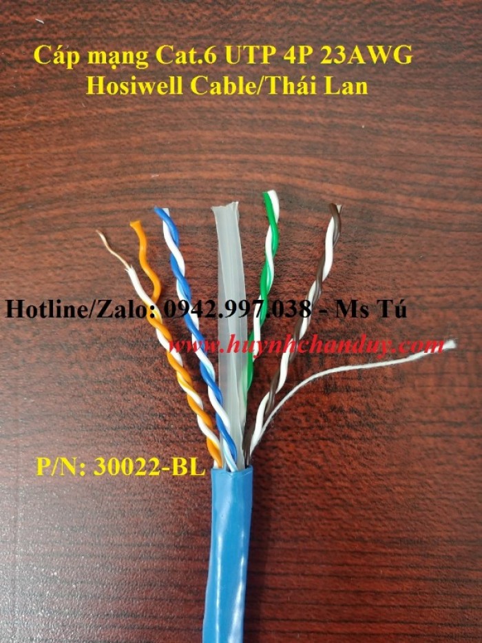 (30022-BL) Cáp mạng LAN Hosiwell Cat.6 UTP Horizontal0
