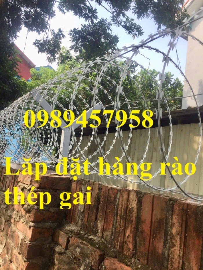 Bán dây thép gai hình vòng tròn, Dây kẽm gai chống chôm, dây thép gai hình dao,