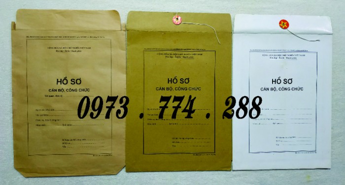 Bán mẫu hồ sơ cán bộ công chức viên chức16