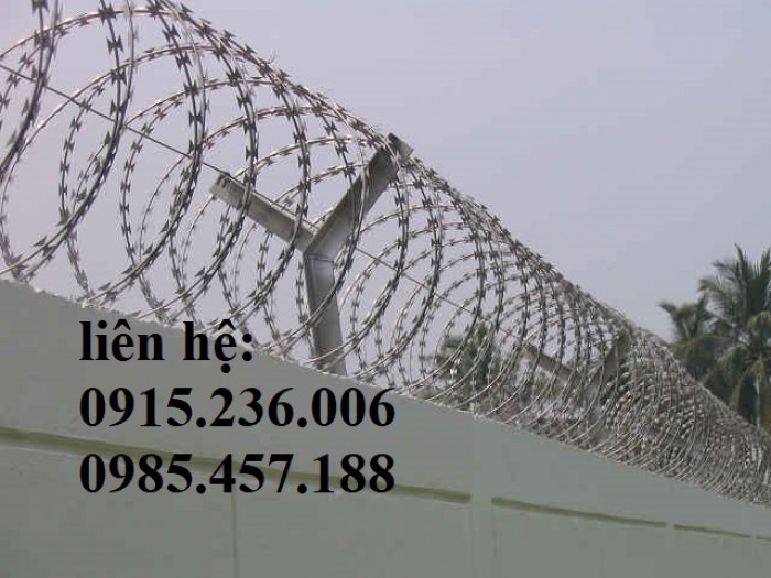 Thi công hàng rào thép gai hình dao - Nhật Minh Hiếu mới 100%3