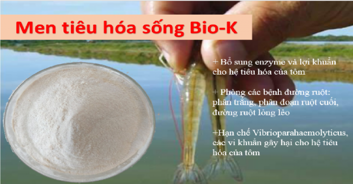 BioK chuyên cung cấp men vi sinh chất lượng cao, giá cực rẻ0