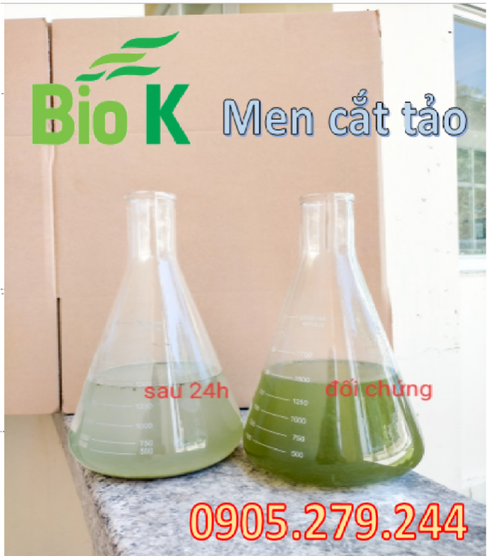 Men xử lý tảo, xử lý nước, xử lý đáy ao cầm tìm nhà phân phối - Men BioK1