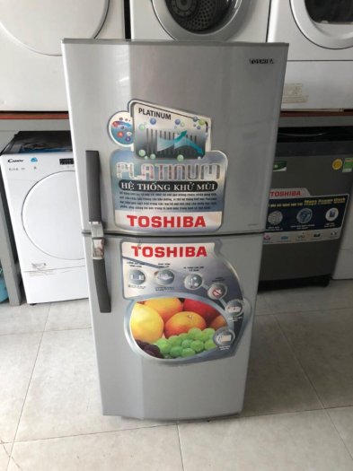 Tủ lạnh Toshiba GR-R19VPP 175 lít1