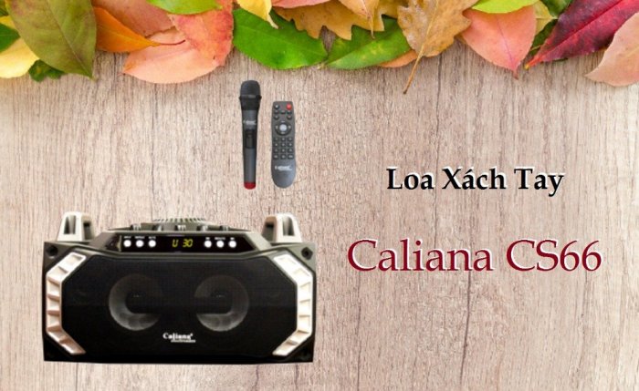 Loa Xách Tay Karaoke Bluetooth Caliana CS66 hàng chính hãng4