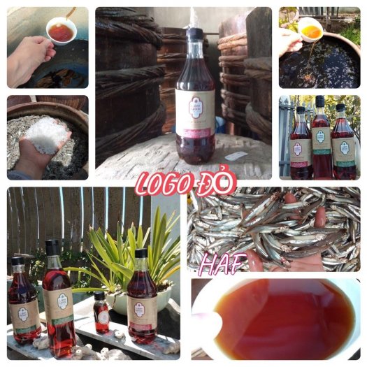 COMBO 3 chai Nước mắm nguyên chất cá cơm Phan Rang Lâm Ngọc12