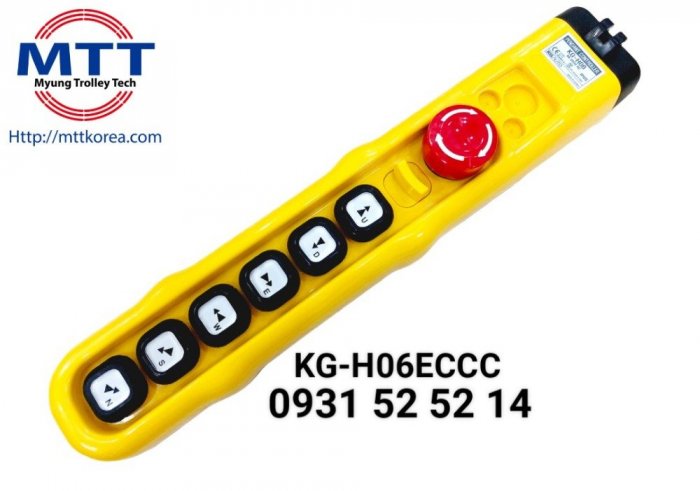 Tay bấm điều khiển cầu trục H06ECCC loại 6 nút 2 cấp độ21