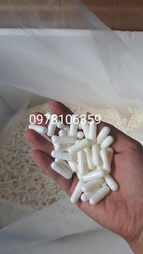 100 gram vỏ nhộng màu trắng sữa, vỏ nhộng cứng, vỏ nang capsule, viên nang gelatin màu trắng đục2