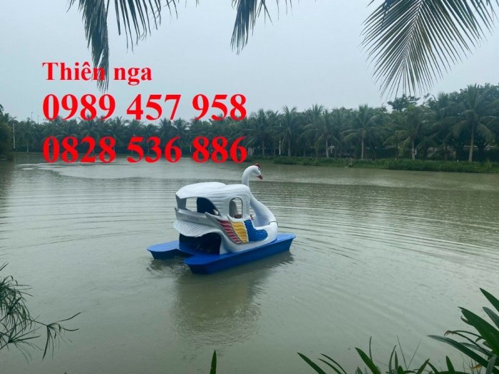 Vịt thiên nga đạp nước, Thuyền đạp cho cả gia đình