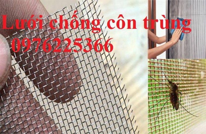 Lưới inox 304,lưới chống côn trùng inox 3043